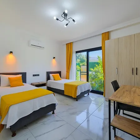 Villa Emir